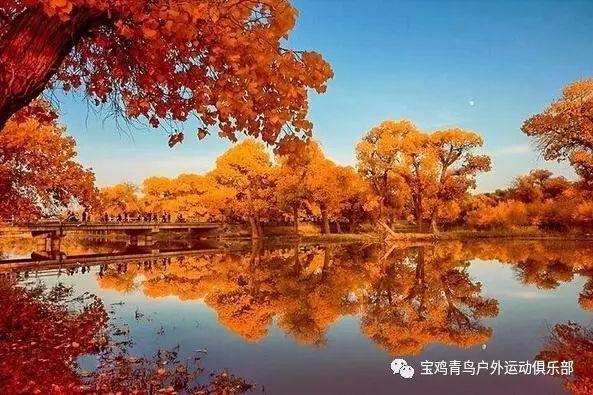 迷路的披萨配送员